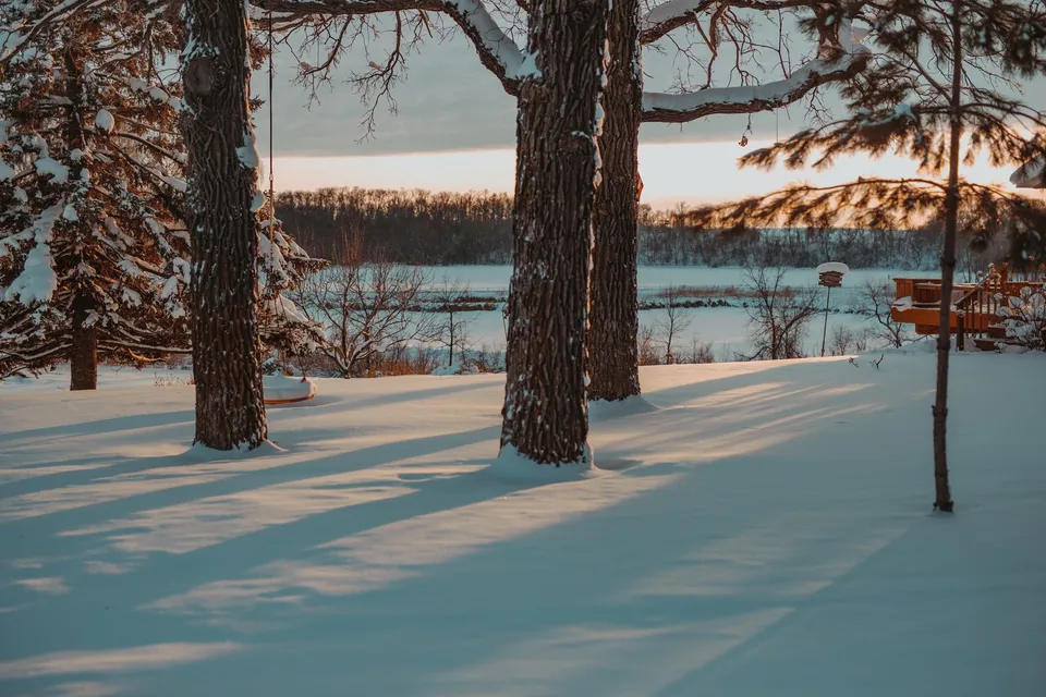 Tranquil snowy scene of trees and swing in Ashby, Minnesota during winter.