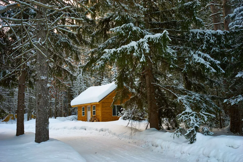 Charming winter cabin nestled among snowy evergreens in Duluth, MN.